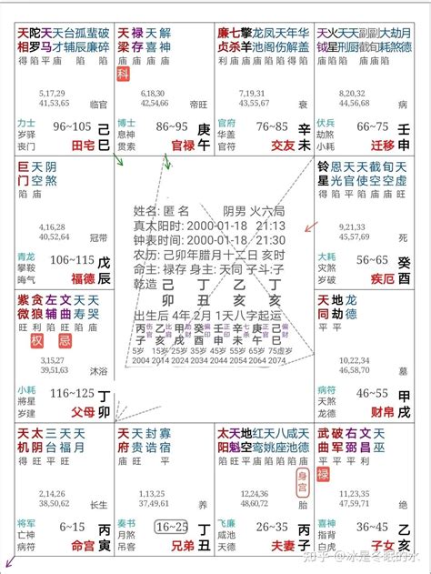 斗數|紫微斗数命盘